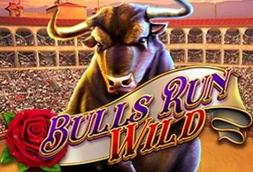 Bulls Run Wild