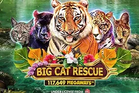 Big Cat Rescue Megaways