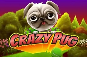 Crazy Pug